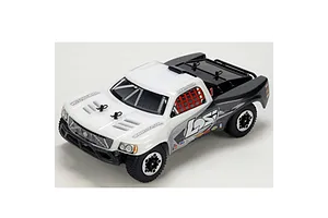 Micro SCT RTR - White/Grey/Black