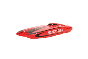 Blackjack 24