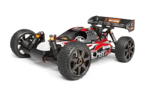 Trophy Buggy 3.5