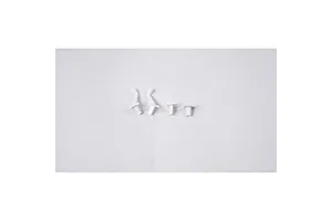 Double-sided adhesive, sound output module (4)
