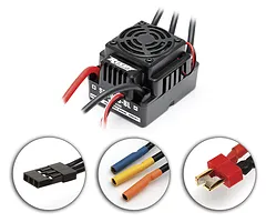 Male/Female Universal Bind Plug