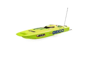 Miss GEICO Zelos 36