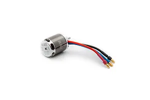 Male/Female Universal Bind Plug