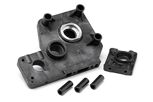 Male/Female Universal Bind Plug