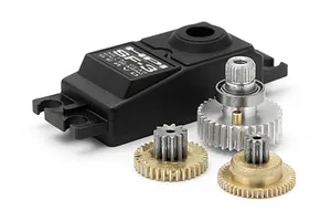 Male/Female Universal Bind Plug