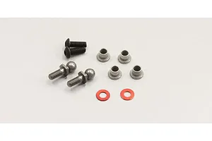Male/Female Universal Bind Plug