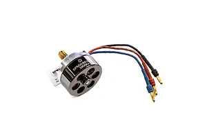 Male/Female Universal Bind Plug
