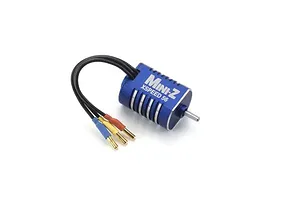Male/Female Universal Bind Plug