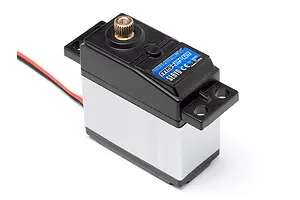 Male/Female Universal Bind Plug
