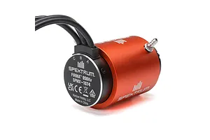 Male/Female Universal Bind Plug