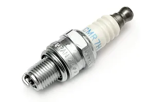 Male/Female Universal Bind Plug