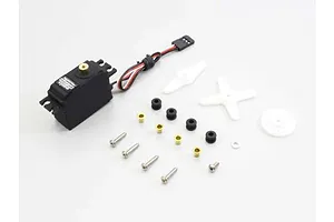 Male/Female Universal Bind Plug