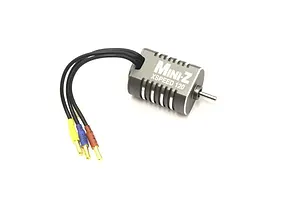 Male/Female Universal Bind Plug