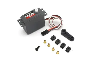 Male/Female Universal Bind Plug